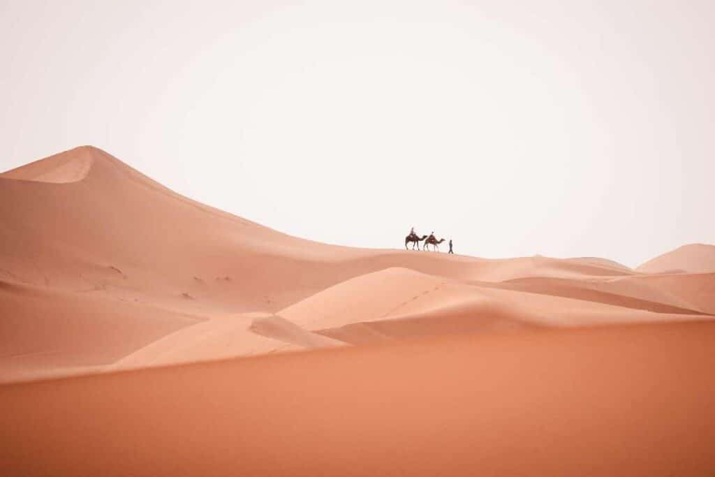 Sahara