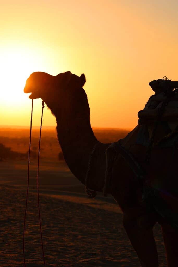 ruta 12 dias desde Marrakech